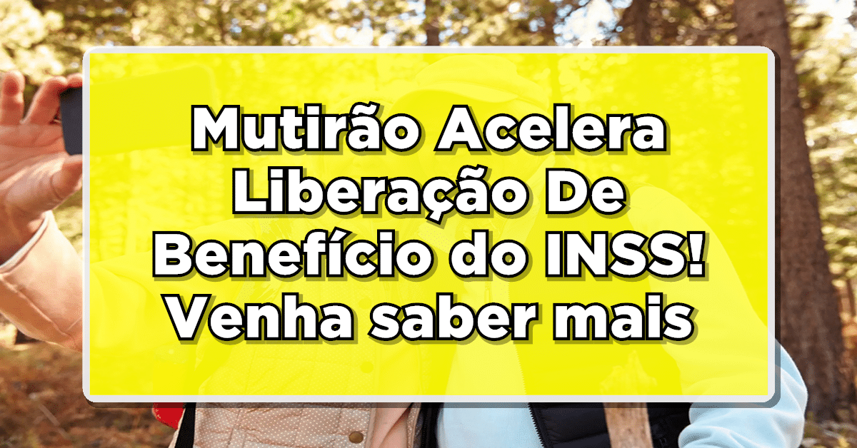 BPC-INSS: Mutirão Acelera Liberação De Benefício! Saiba Mais