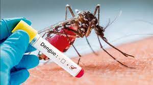 DENGUE NO BRASIL – cuidados especiais para os idosos
