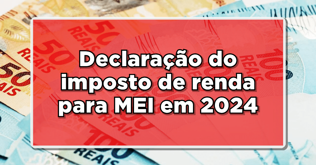 Guia para declaração do imposto de renda para MEI em 2024