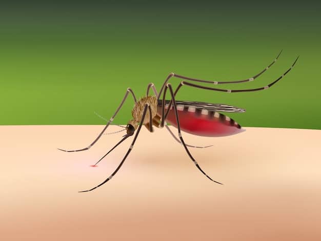 Urgente: Brasil bateu recorde de dengue em 2024- Confira os números