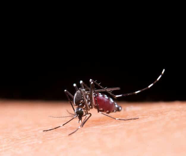 Autoteste para dengue deve ser liberado em breve- Anvisa e Ministério da Saúde estão em negociação