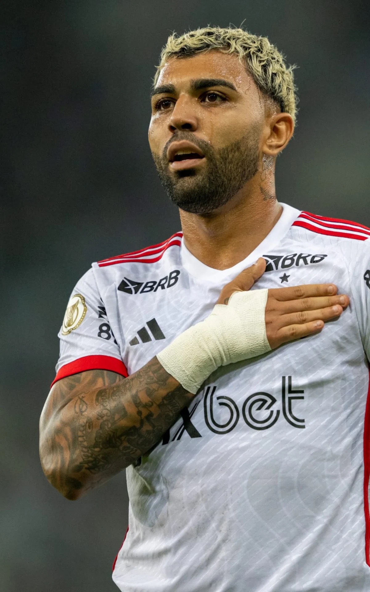 Gabigol (Fonte: Reprodução Google)