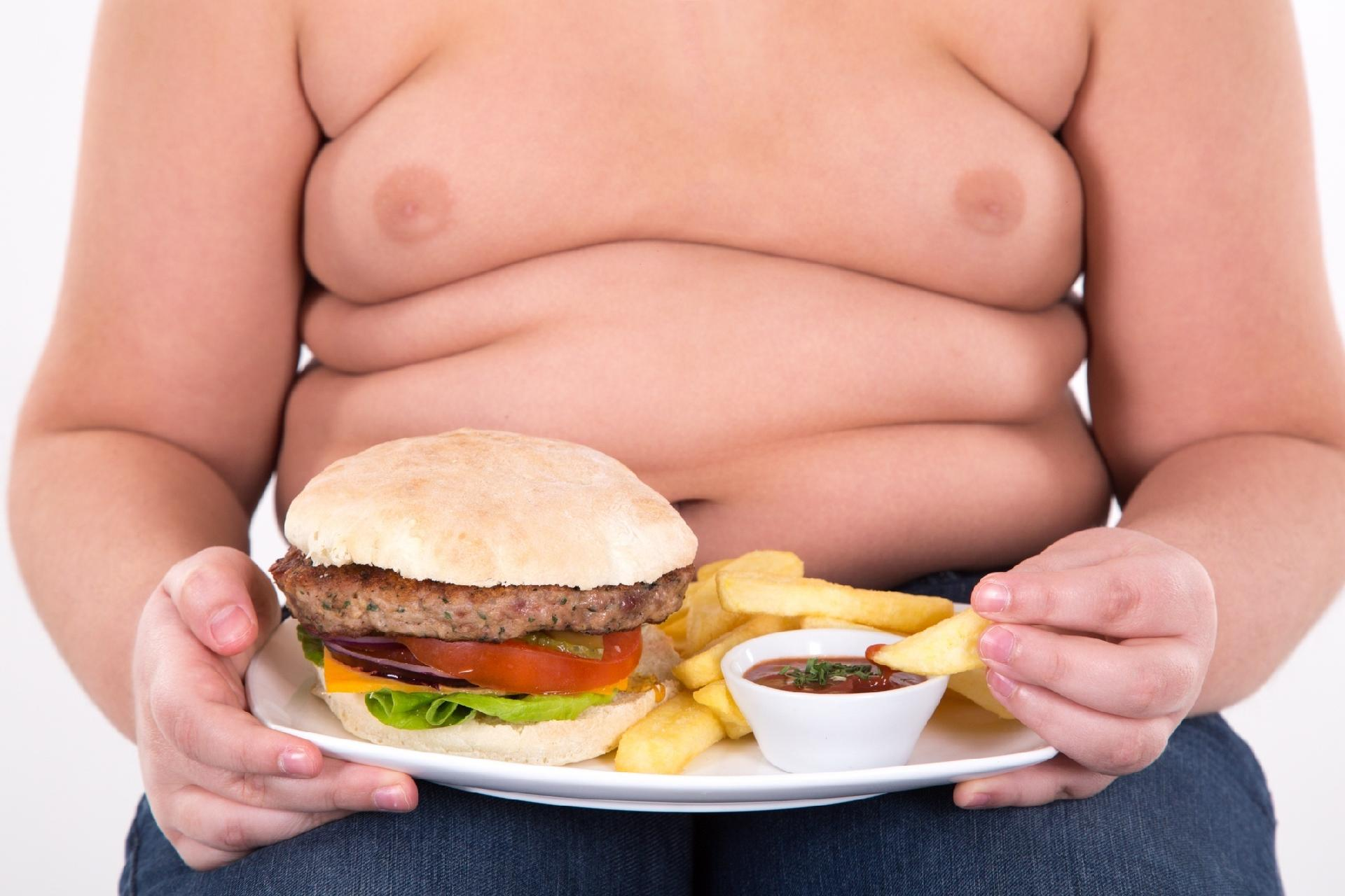 Criança comendo sanduíche e batata frita. (Fonte: Reprodução Google)